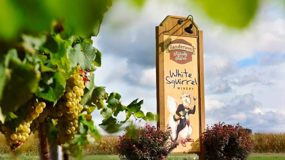 Experience Obion County, Tennessee