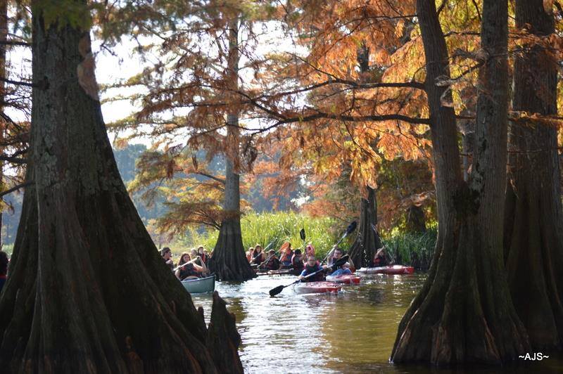 Friends of Reelfoot Lake State Park Host Event
