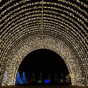 Let it Glow Light Show